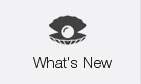 What's New